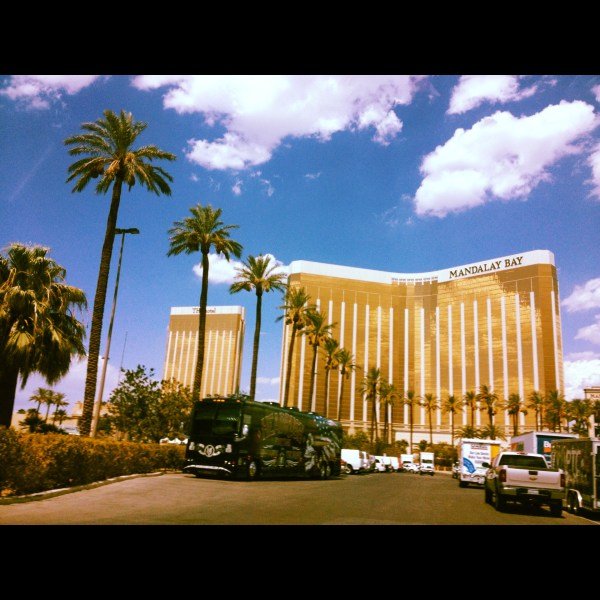 Desert Oasis.