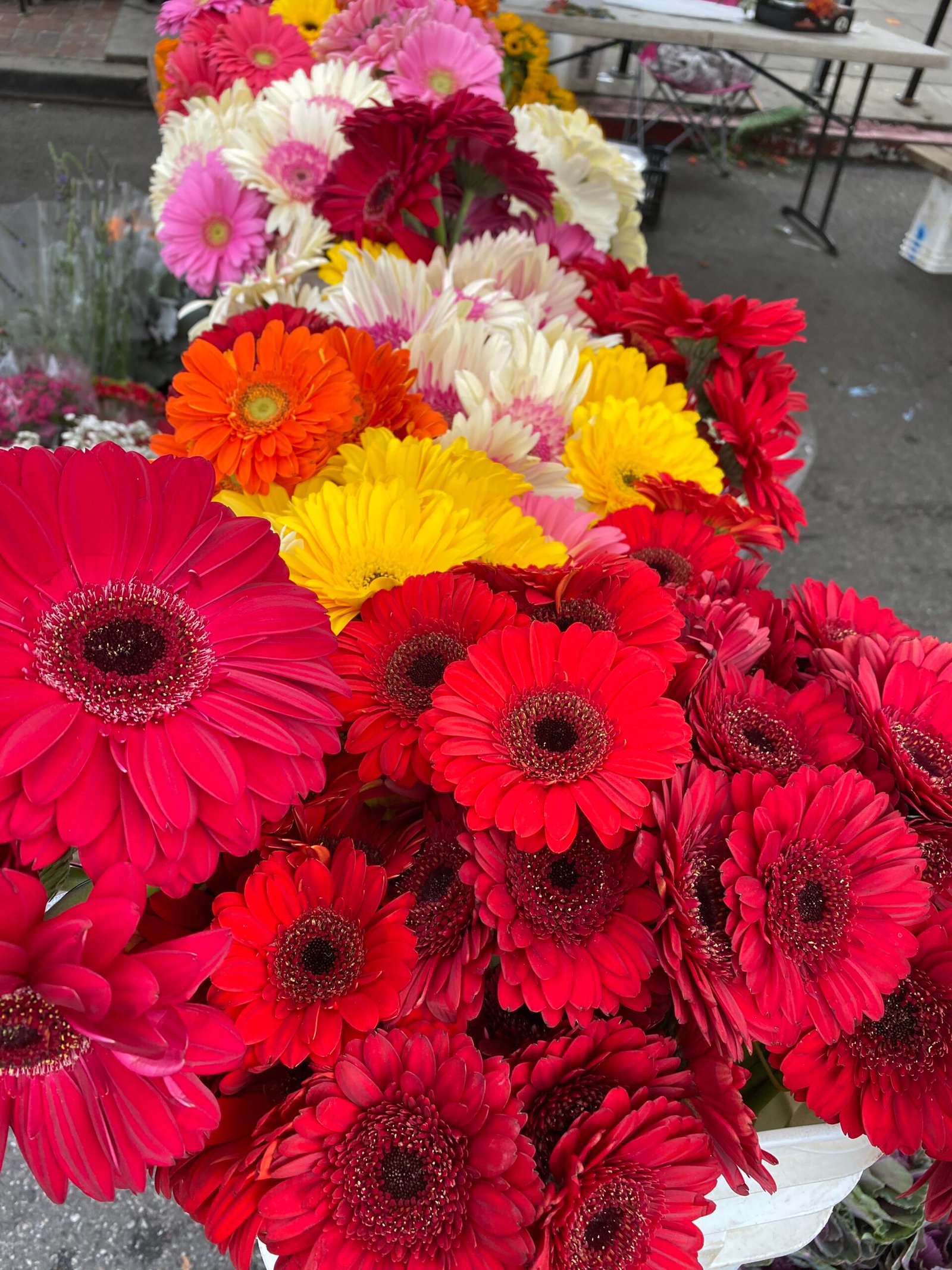 Flowers from Ventura, California.