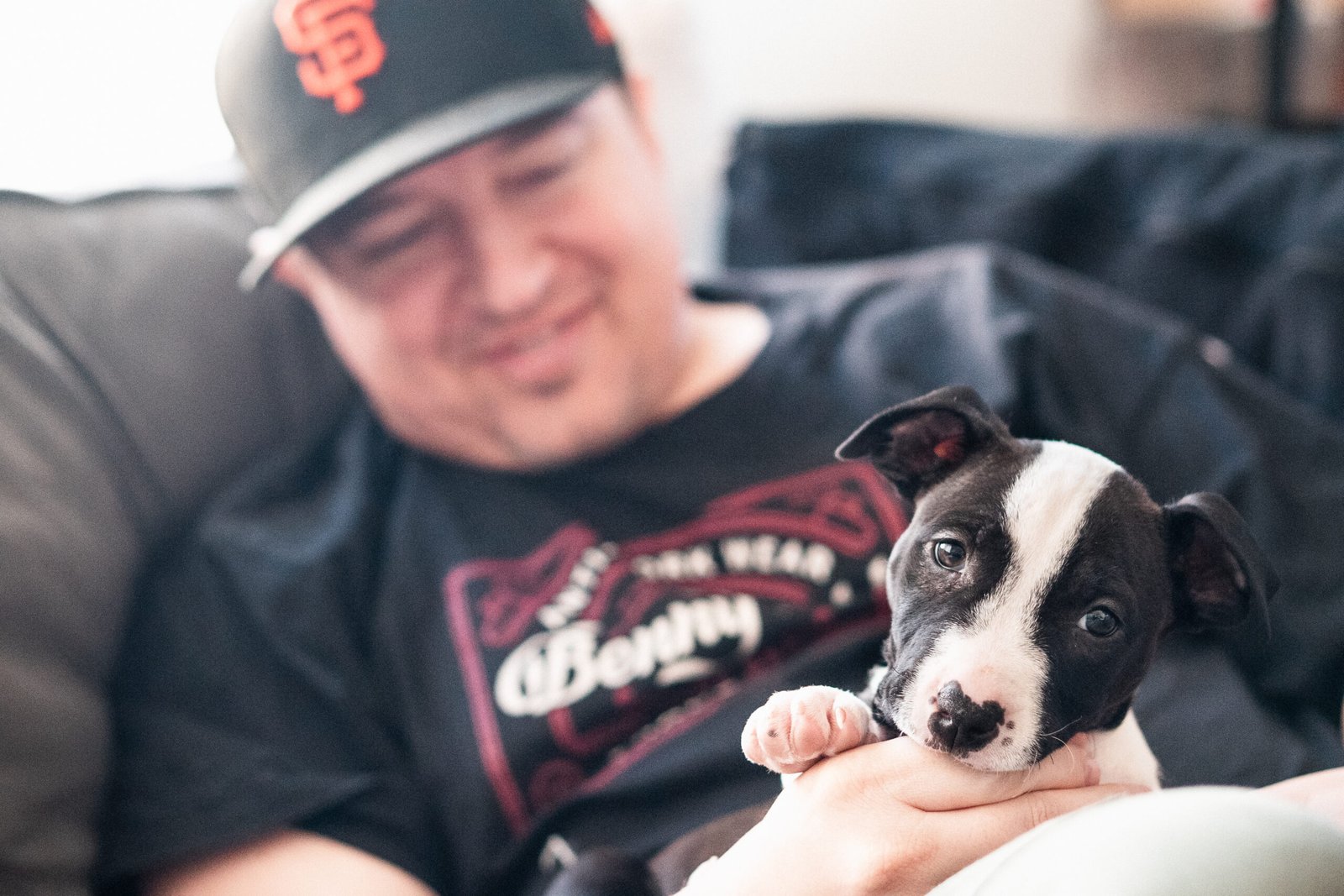 Mika, aka @itsmelilmika - Bull Terrier Puppy