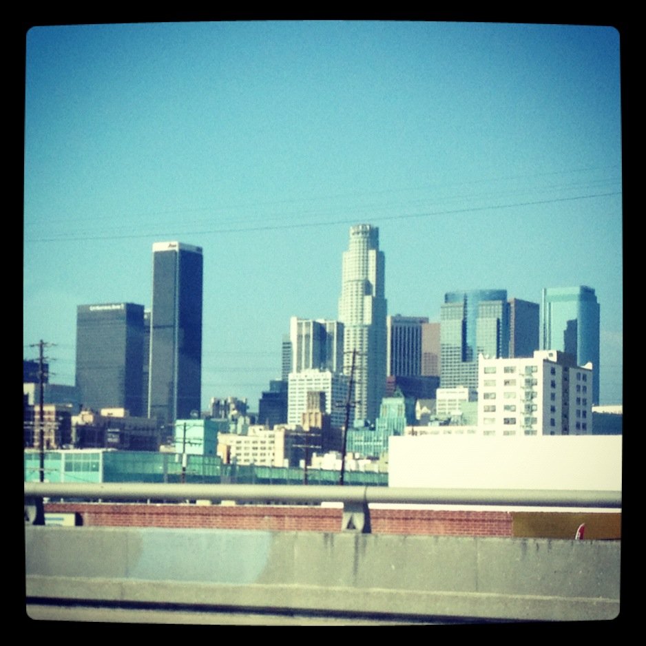 Concrete Jungle.