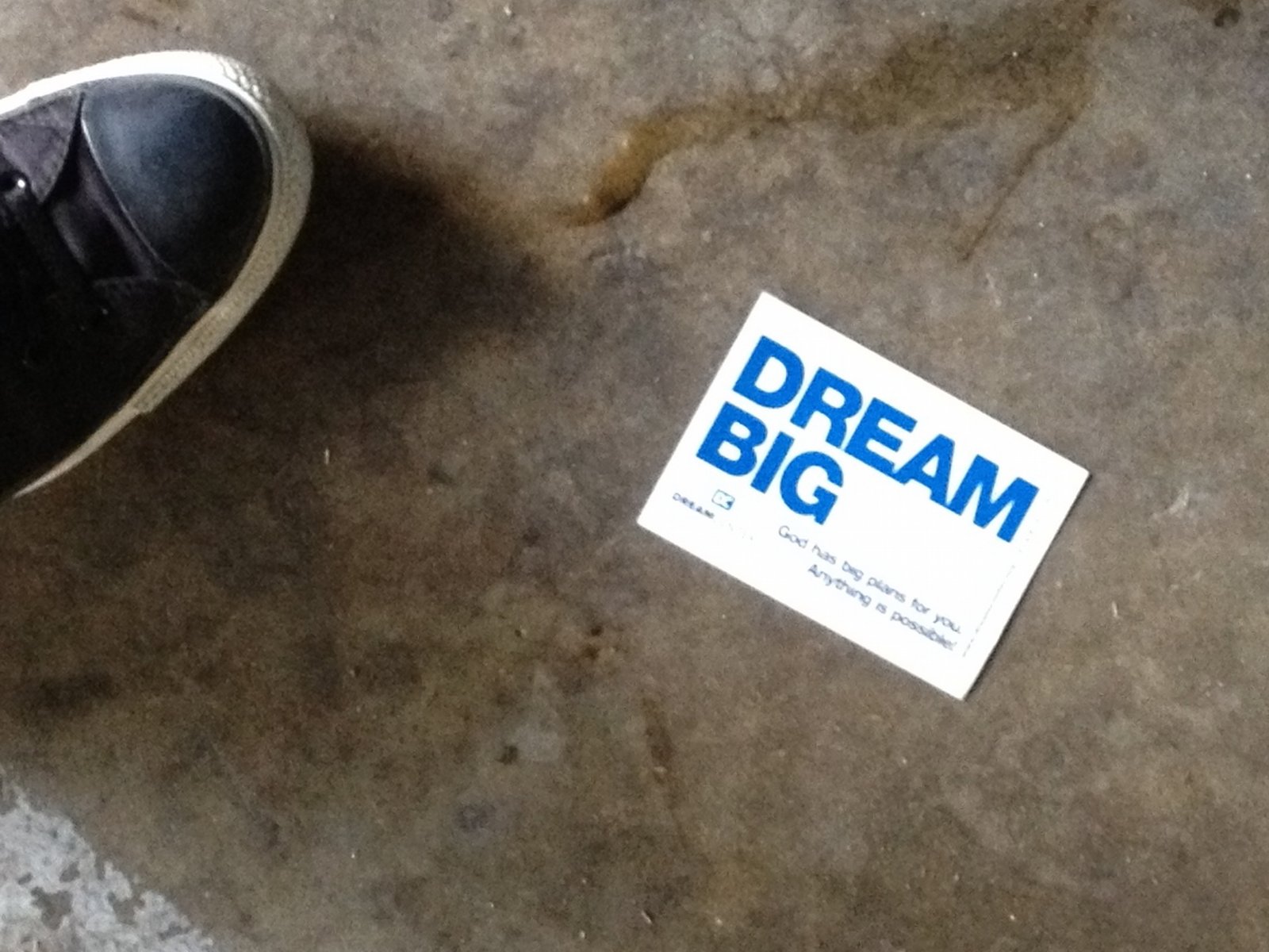 Dream Big. Dream Beautiful.