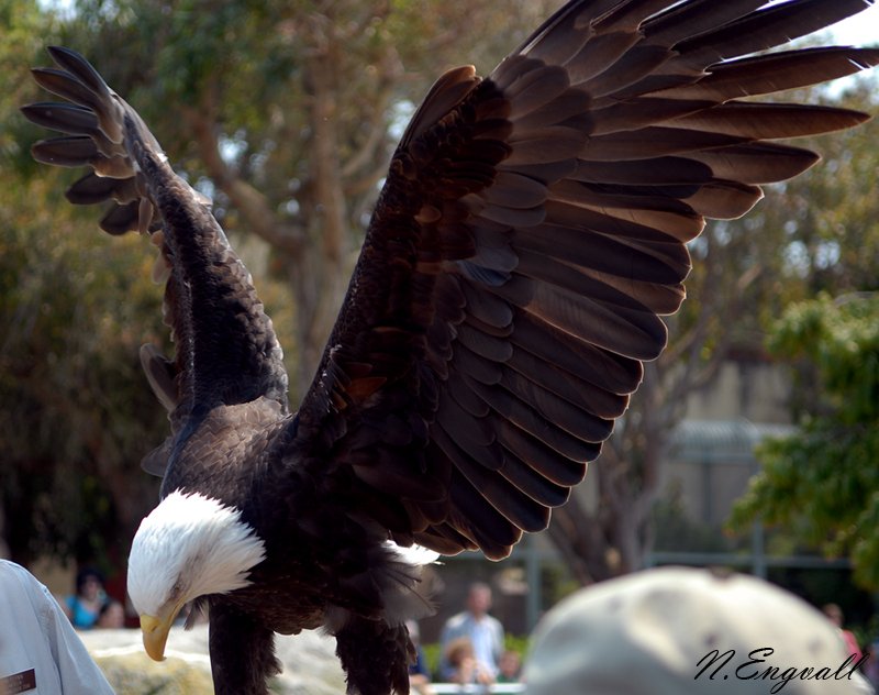 A trip to the zoo... 5